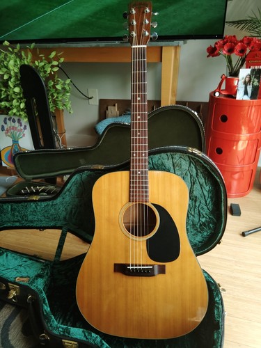 Martin 1970 - d,