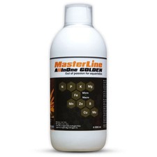 MasterLine AllInOne Golden