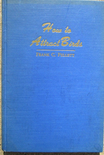 How attract birds - to, by