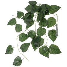  Piante Da Terrario Finte Per