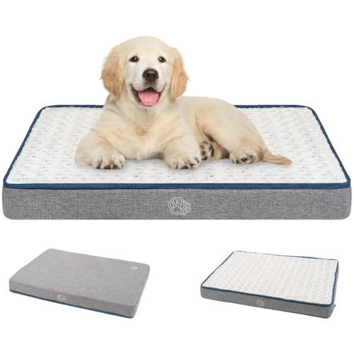 Cuscino cane media - cuscino,