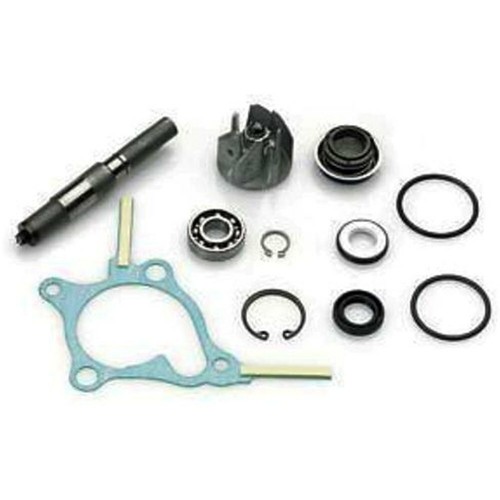 Kit revisione pompa acqua - pompa,