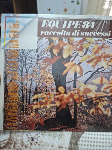 Vinile equipe84 raccolta - equipe84,