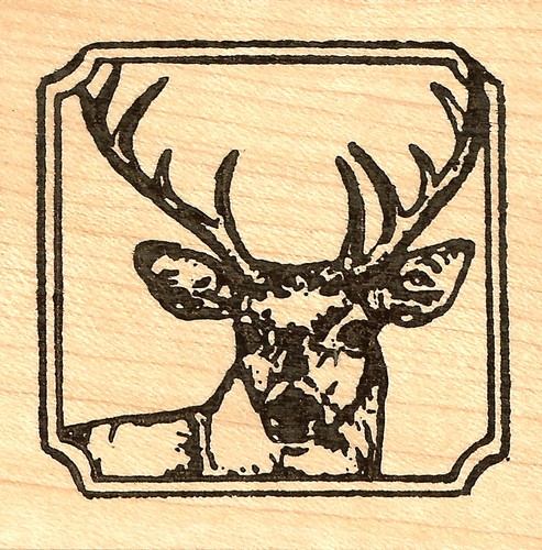 Cervo buck timbro - buck, quadrato
