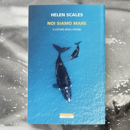 Noi siamo mare il - -,