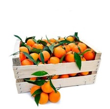 Confezione 9 KG - Clementine Calabresi - Dolci e senza semi - Piana di Sibari