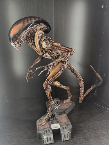 3109 studio alien dog - studio,