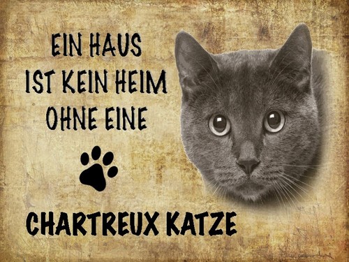 Holzschild 30x40 chartreux - holzschild,