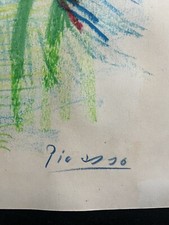 Picasso Pablo disegno