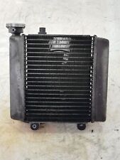 RADIATORE ACQUA COMPLETO PER HONDA FES 150 PANTHEON 4T DEL 2005 (e43370)