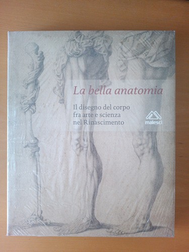 Bella anatomia disegno - anatomia,