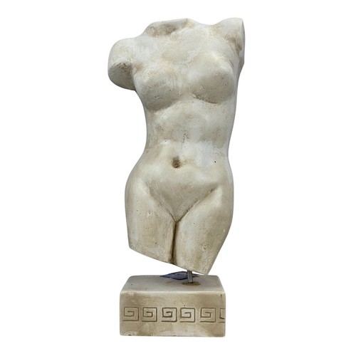 Corpo femminile nudo - , busto
