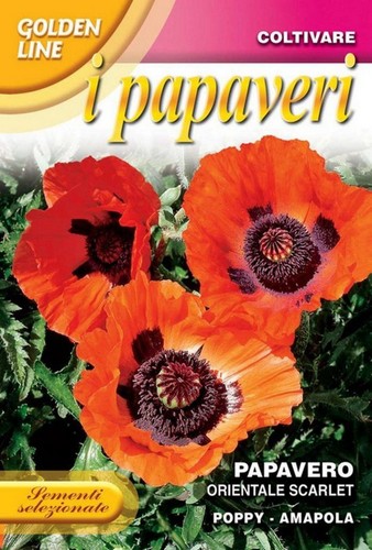 300 semi seeds papavero - semi/seeds,