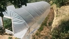 Serra Agricoltura professionale struttura telo serre orto tunnel giardino piante