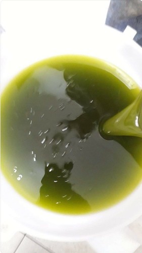 Olio nocellara del belice evo - olio,
