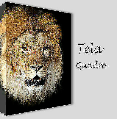 Quadri moderni tela 100x70 - quadri,