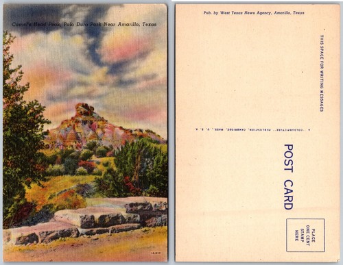 Cartolina cardwell head - cardwell,