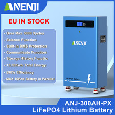 15KWh 300Ah Batteria 51.2V LiFePO4 Accumulatore Accumulo di energia Solare BMS