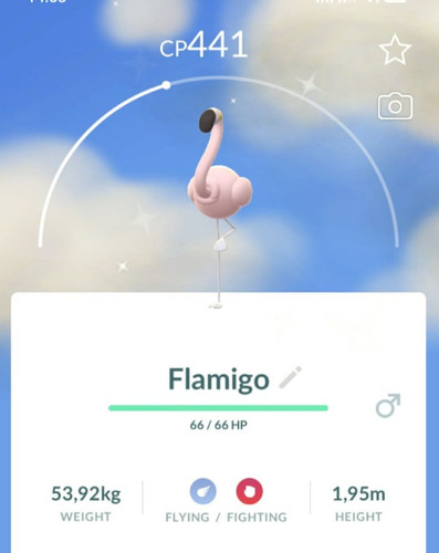Pokémon shiny flamigo - pokémon, t