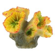 Mini barriera corallina