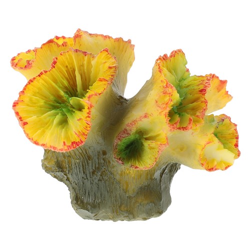 Mini barriera corallina