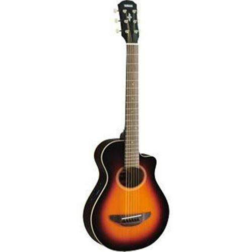 Chitarra elettrica acustica