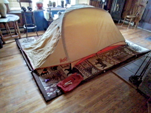 Tenda muschio - tenda,