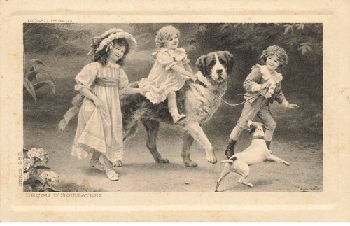 Cani mk41443 lezione di - cani, #mk41443