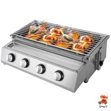 Barbecue a Gas Grill Acciaio