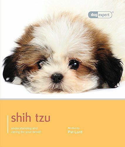 Shih tzu dog expert - tzu, lord