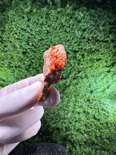 Esemplare vanadinite n1127 - vanadinite, /