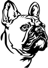 Adesivo BULLDOG FRANCESE - adesivi auto - sticker - testa bulldog #80