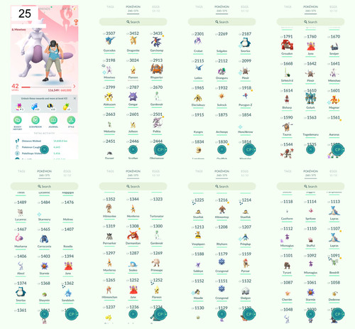 Pokémon acc lvl - go, 10