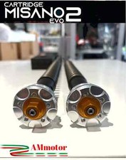 Cartuccia Forcella Honda CBR