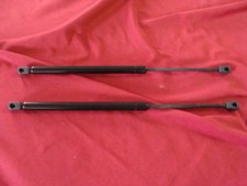 2 pistoncini sportello