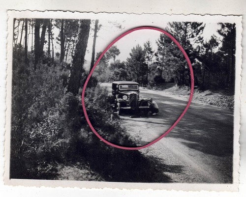 Foto auto automobili - foto,