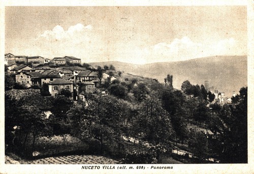 Villa nucetto cuneo - villa,