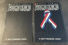 AMS l'Uomo Ragno 11 Settembre