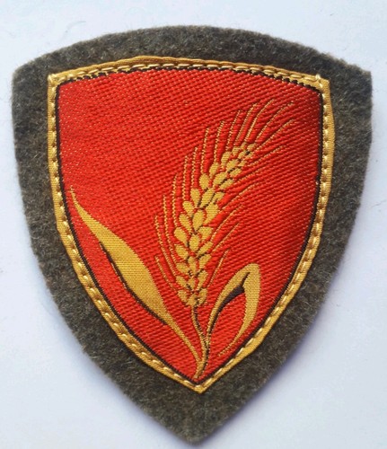 Scudetto omerale brigata - scudetto,