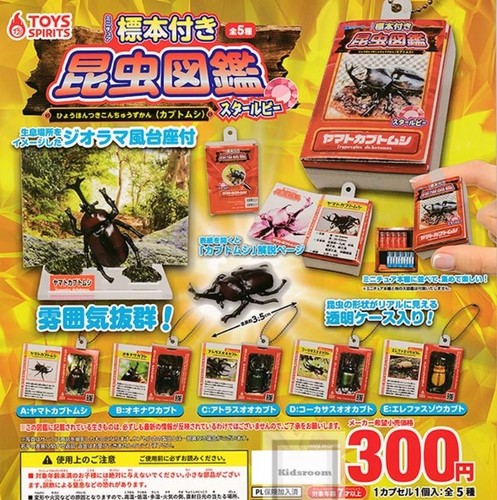 Insect encyclopedia with - insect,