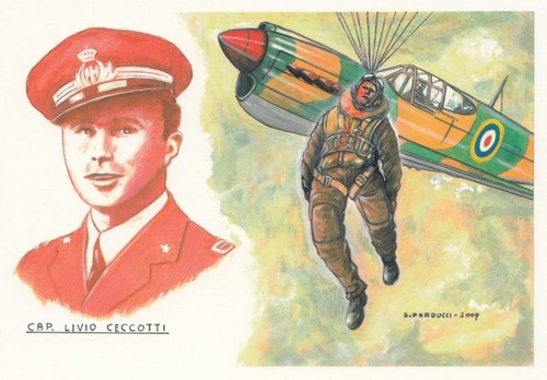 Cartolina aviazione publicard - cartolina,