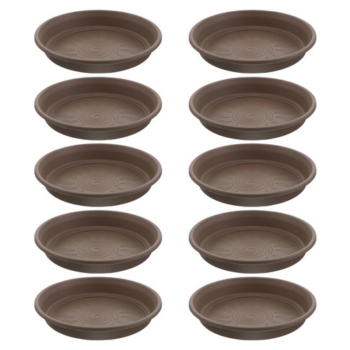 Pezzi piante vaso - 10,
