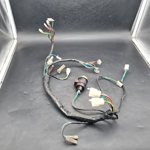 Cablaggio elettronica filo - cablaggio,