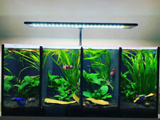 Bettiera 4 Posti - Acquario