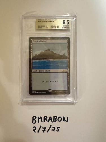 Magic the gathering mtg - the,