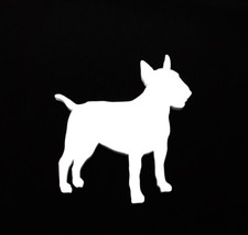 Inglese Bull Terrier 1 Cane