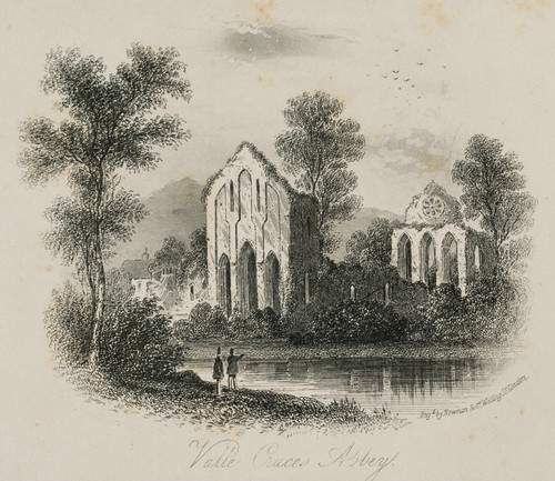 Rovine dell abbazia valle - rovine,
