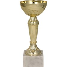 PREMIAZIONE CON COPPA