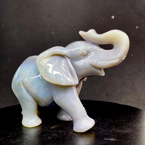 Elefante cristallo intagliato