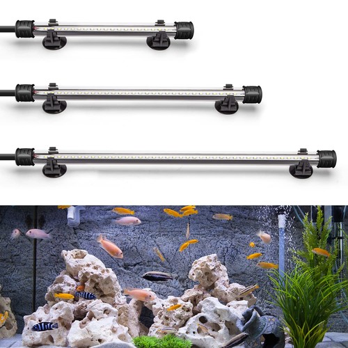 Luce led per acquario - acquario,
